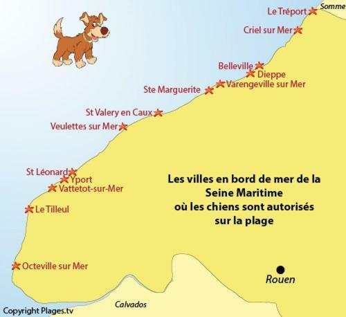 Le Kaleho, Grand Duplex Au Coeur De Dieppe - Netflix Ngoại thất bức ảnh